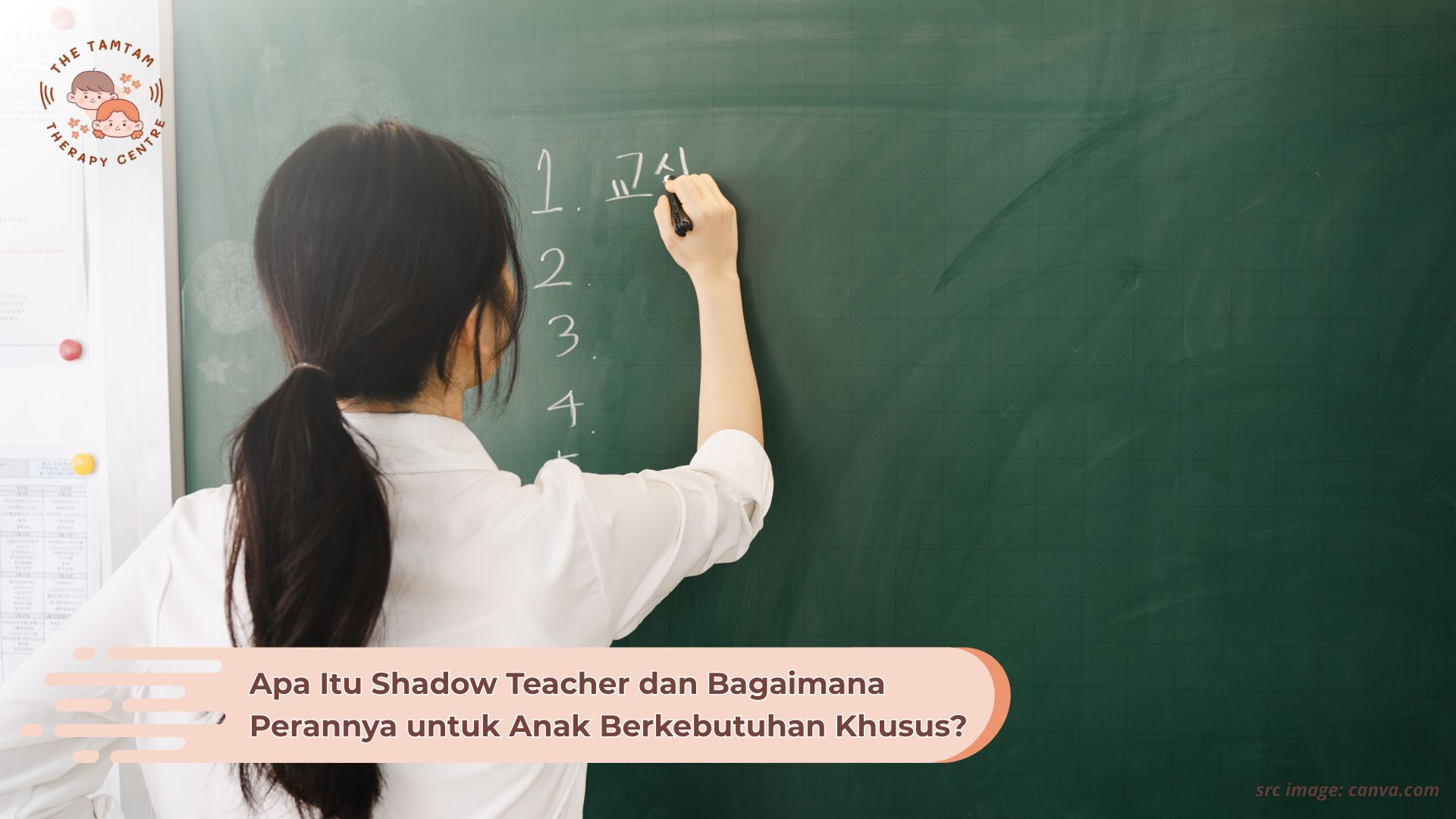 shadow teacher