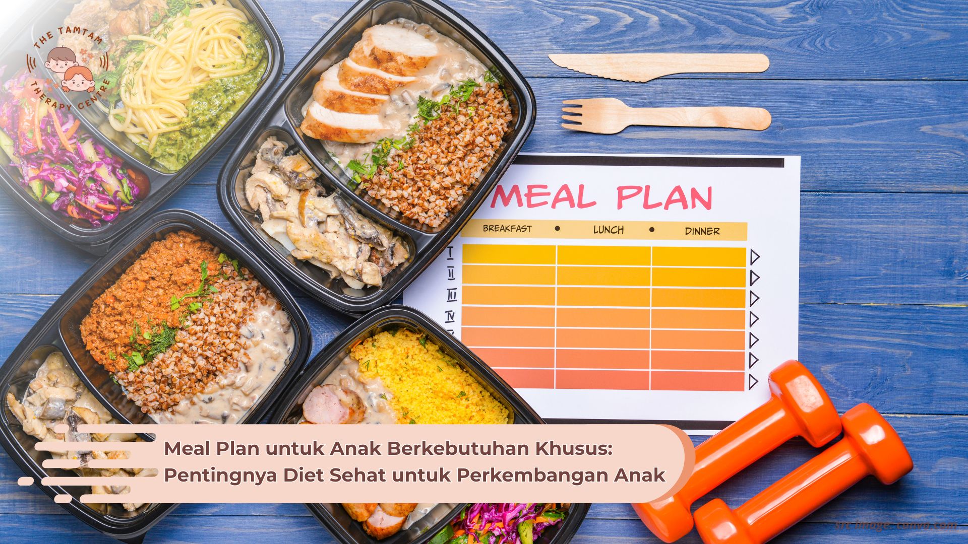 Program Meal Plan