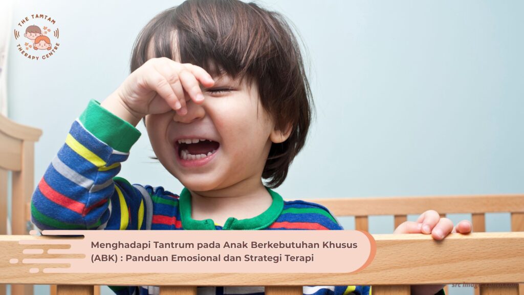 Menghadapi Tantrum pada Anak Berkebutuhan Khusus (ABK) : Panduan Emosional dan Strategi Terapi