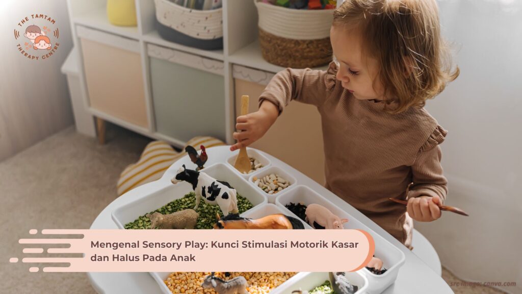 Mengenal Sensory Play: Kunci Stimulasi Motorik Kasar dan Halus Pada Anak
